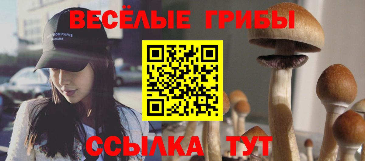 Щёкино  Псилоцибиновые грибы ЛСД  Вход с VPN 